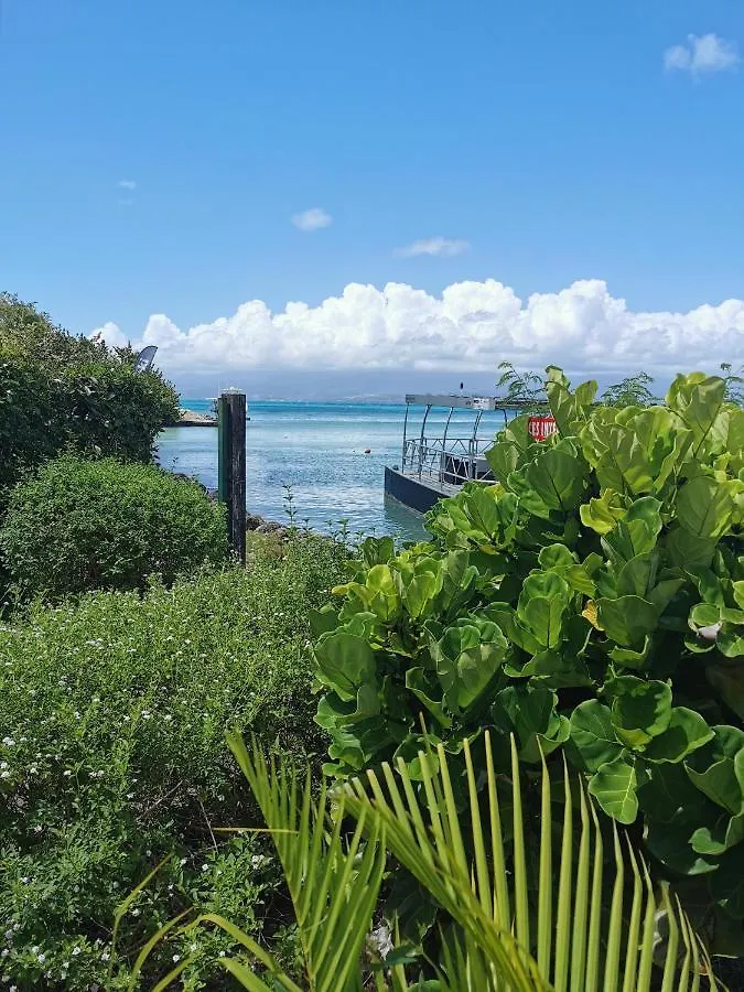 La Creole T3 Lumineux A 1Mn De La Plage Le Gosier  0*, Le Gosier (Grande-Terre)