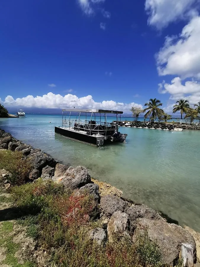 La Creole T3 Lumineux A 1Mn De La Plage Le Gosier
